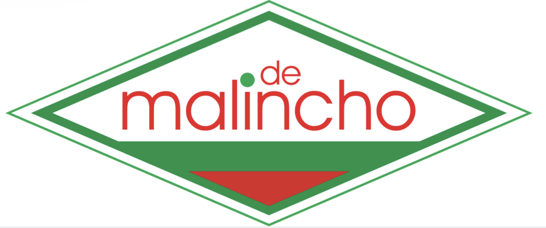 The image displays a logo with a diamond-shaped design. The outer border is formed by two green lines. Inside, there's the word malincho written in red lowercase letters across the center. Above malincho, the word de appears in smaller red letters with a green dot over the letter i. A green section fills the bottom part of the diamond and contains a small red triangle pointing upwards. The overall color scheme consists of red, green, and white.